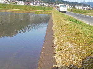 田んぼの畦ぬり