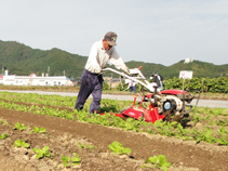 土寄せ