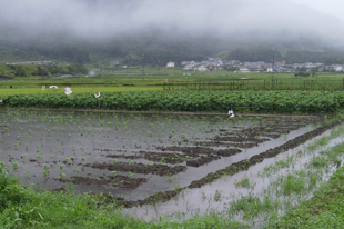 8月17日豪雨