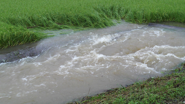 8月17日豪雨被害