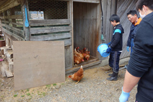 小屋から出す