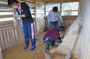 小屋の中の掃除