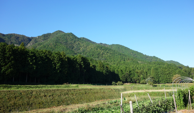 まるからの風景