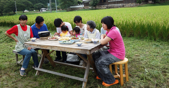 豪雨の後の小豆畑