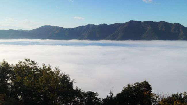 丹波の雲海