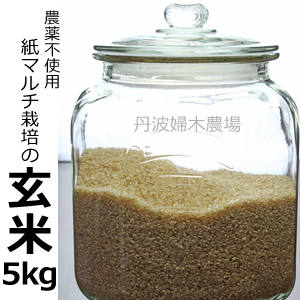 紙マルチ栽培のコシヒカリ玄米5Kg