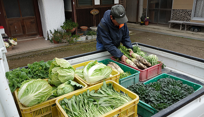 冬野菜も終盤を迎え