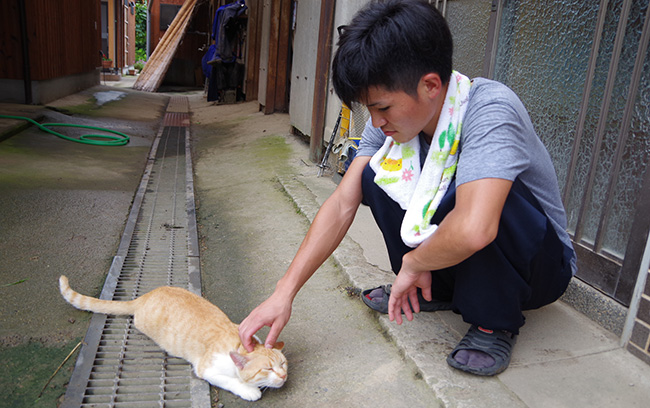 チーズ王子と猫