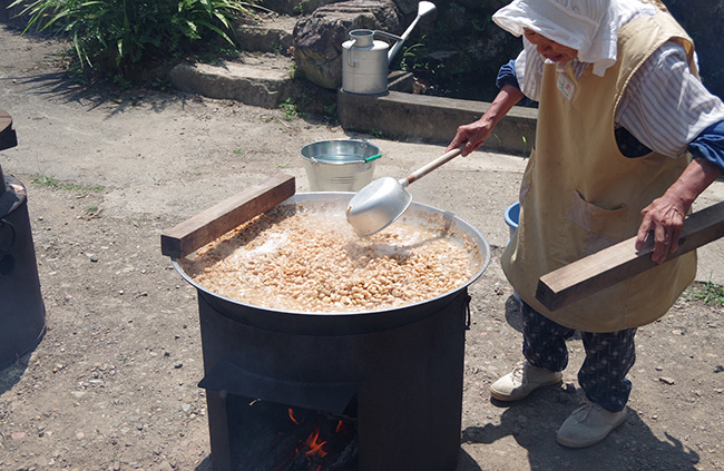 自家製大豆を炊く