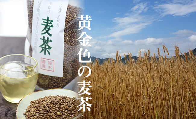 黄金色の麦茶