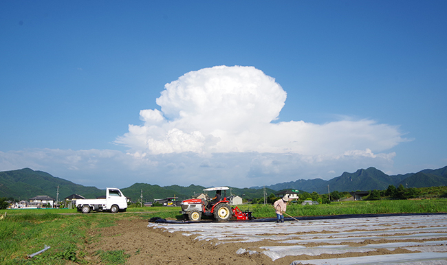 夏の入道雲