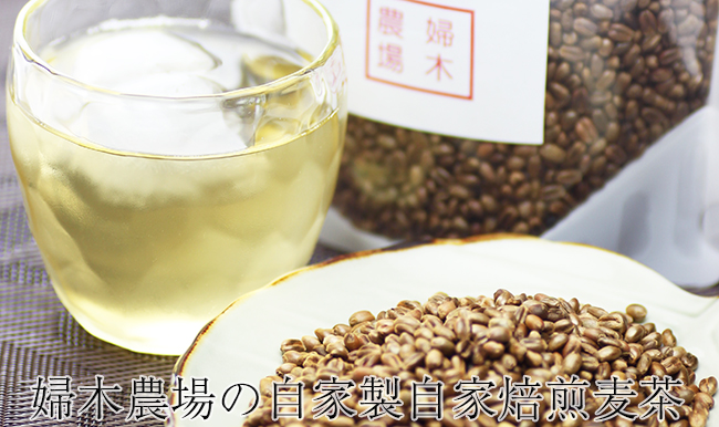 麦茶