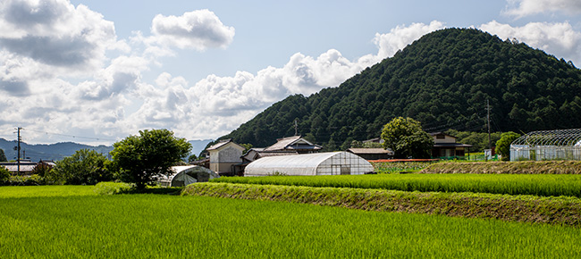 婦木農場